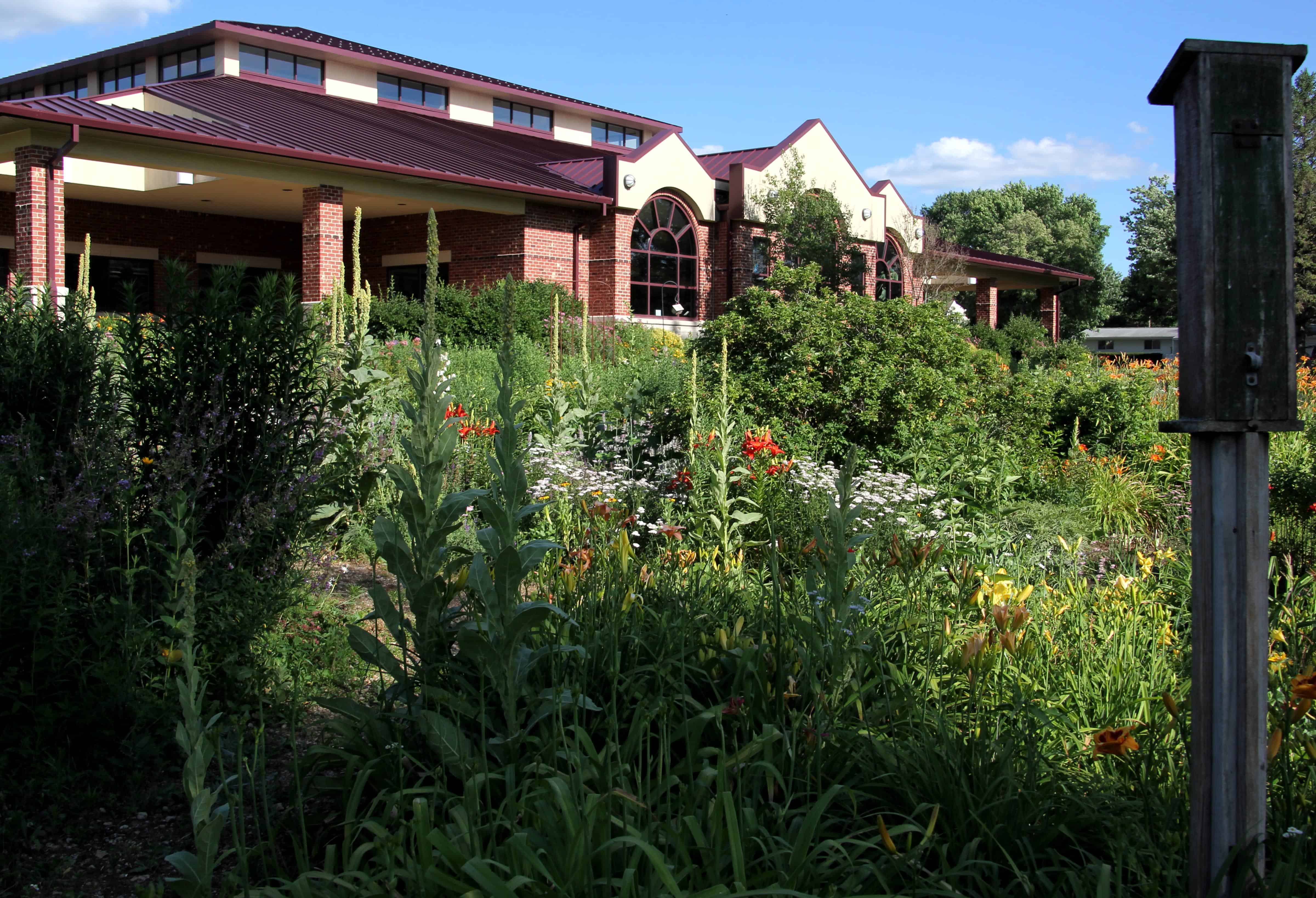 Library Building through Butterfly Garden