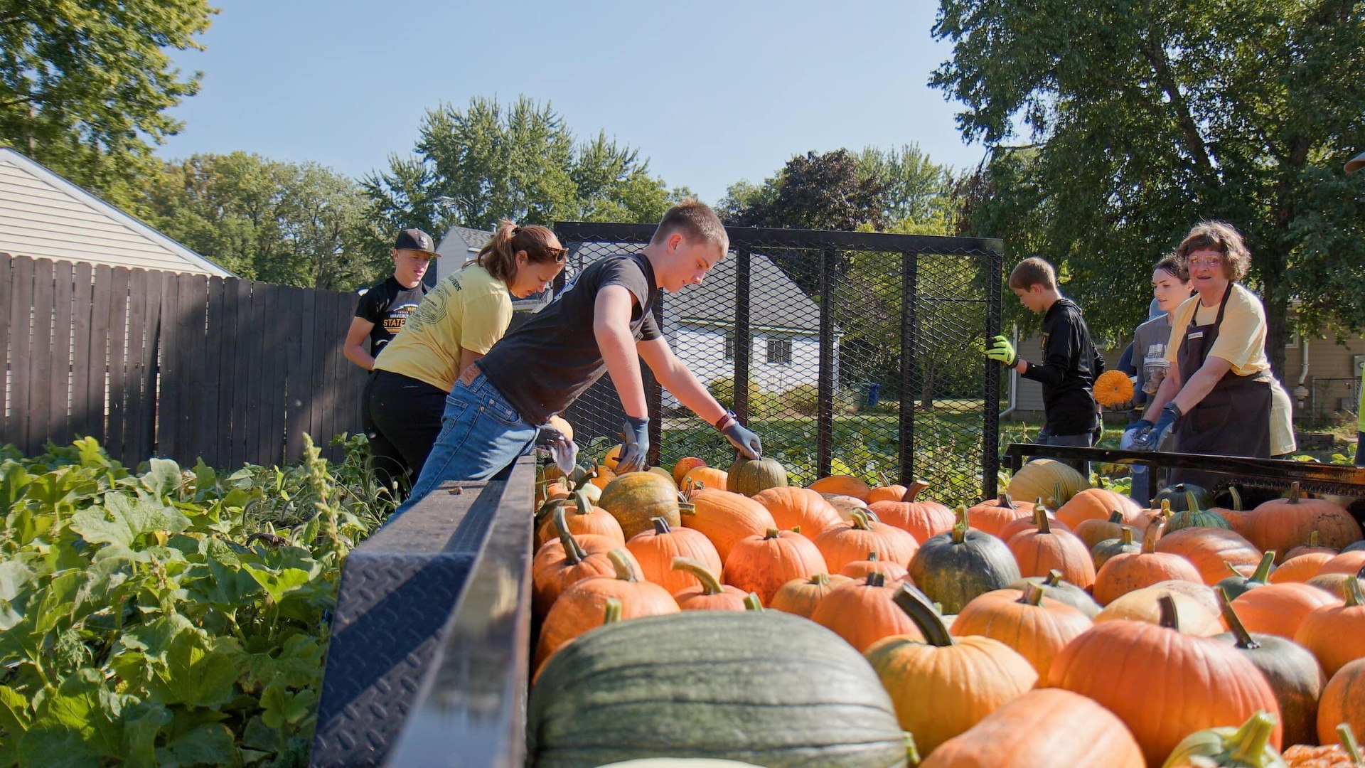 Decorative image showing youth putting pumpkins on a trailer during the city's annual 'Day of Caring' event.